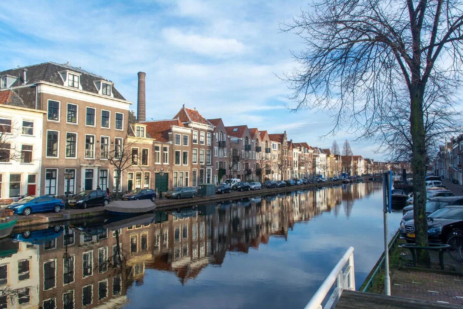 Jaren-dertig herenhuizen aan een laan in de Professorenwijk in Leiden
